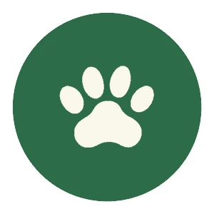 Découvrir les animaux de la forêt